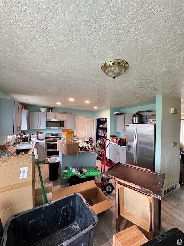 627 E Valley View Dr, Tooele, UT 84074 - kitchen with a sink, appliances with stainless steel finishes, gray cabinetry, and light wood finished floors