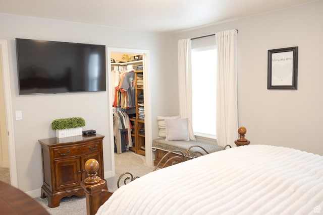 1751 E 1130 S, Spanish Fork, UT 84660 - carpeted bedroom with a closet and a walk in closet