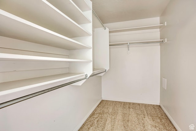 1494 E 1300 S, Provo, UT 84606 - spacious closet featuring light colored carpet