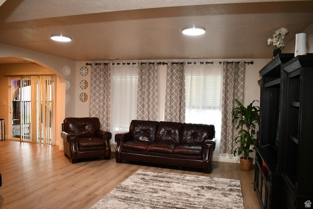 148 N Walton Ct W, North Salt Lake, UT 84054 - living room featuring arched walkways, baseboards, and light wood-style floors