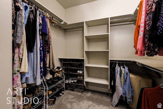 2691 E 3800 S, St George, UT 84790 - walk in closet featuring carpet