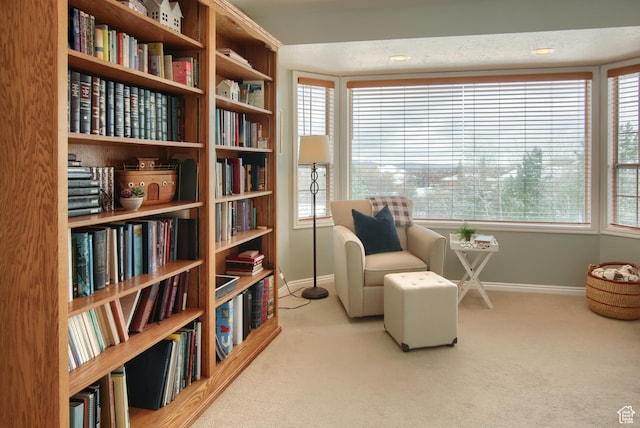 living area with carpet floors, baseboards, and bookshelves