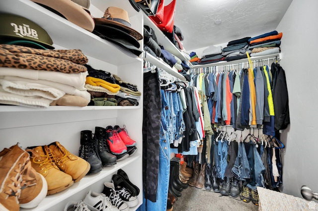8374 E Lake Pines Dr Unit 269, Heber City, UT 84032 - view of spacious closet