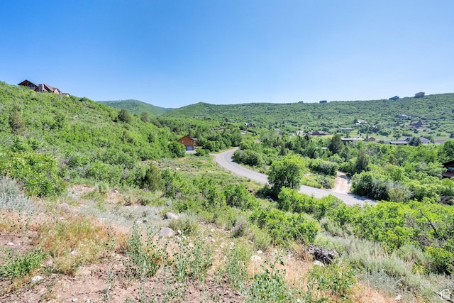 8374 E Lake Pines Dr Unit 269, Heber City, UT 84032 - mountain view