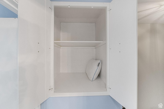 4667 S Black Swan Dr, Millcreek, UT 84117 - view of closet
