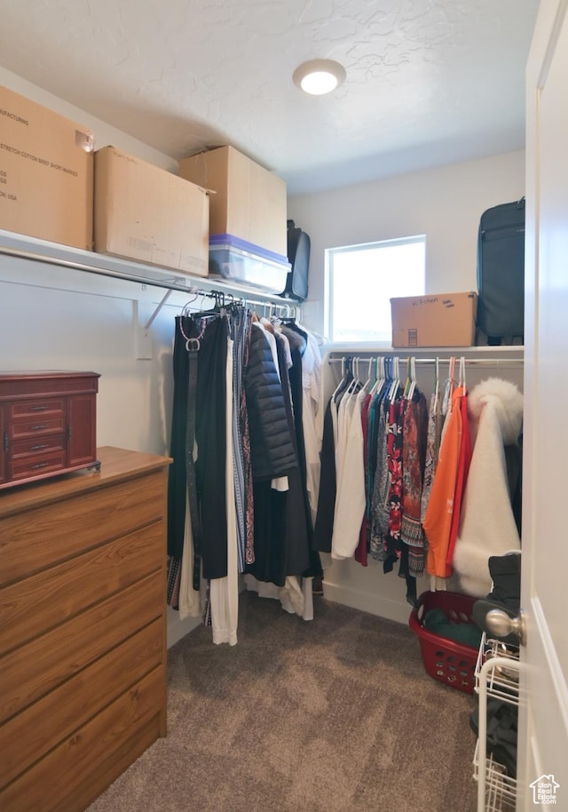 1088 E Propeller Row, Saratoga Springs, UT 84045 - spacious closet with dark colored carpet
