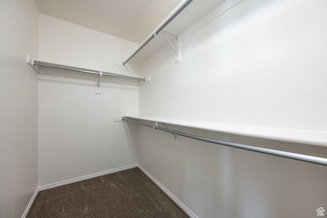 walk in closet with dark colored carpet