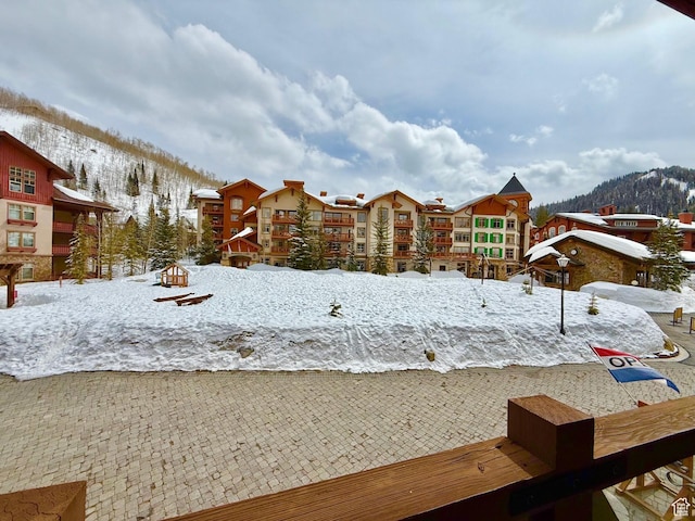 12080 E Big Cottonwood Rd Unit 214, Brighton, UT 84121 - snowy yard featuring a mountain view
