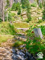 Unit 215, Mount Pleasant, UT 84647
