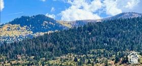 Unit 215, Mount Pleasant, UT 84647