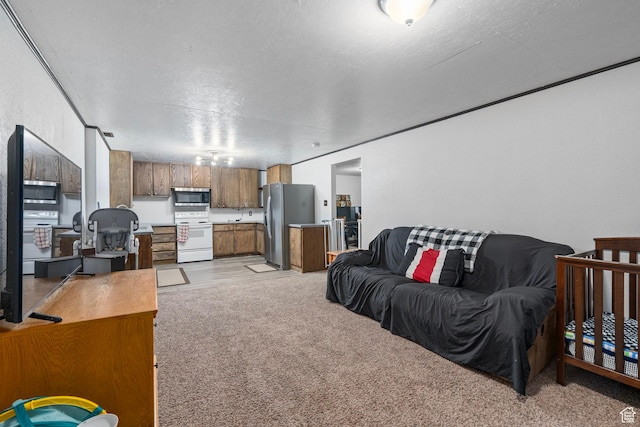 living area featuring light carpet and a textured ceiling