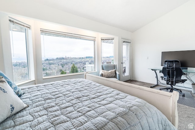 981 Eastridge Dr, Logan, UT 84321 - carpeted bedroom with lofted ceiling, access to exterior, and baseboards