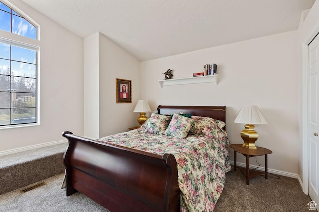 846 E Holroyd S, South Ogden, UT 84403 - bedroom with baseboards, lofted ceiling, visible vents, and carpet flooring