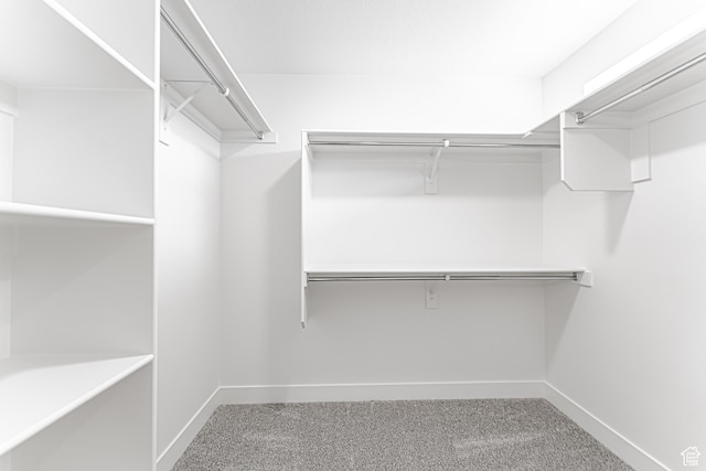 3671 W 950 N Unit 218, Lehi, UT 84043 - spacious closet featuring carpet floors