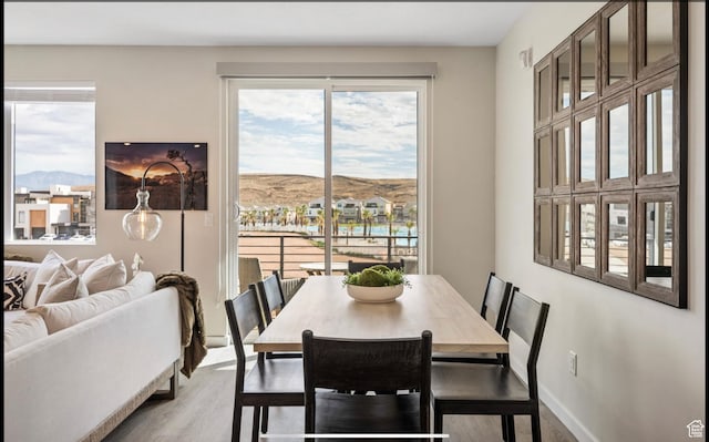875 W Akoya Pearl St Unit 303, St George, UT 84790 - dining room with baseboards, a mountain view, and light wood finished floors