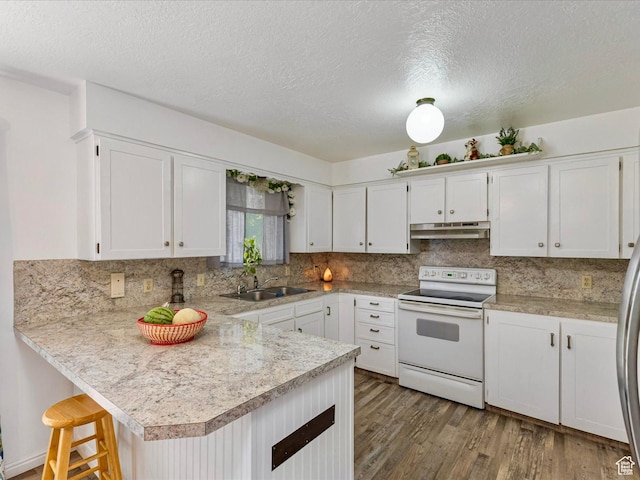 850 W 370 S, Logan, UT 84321 - kitchen with white electric range, under cabinet range hood, a sink, a peninsula, and light countertops