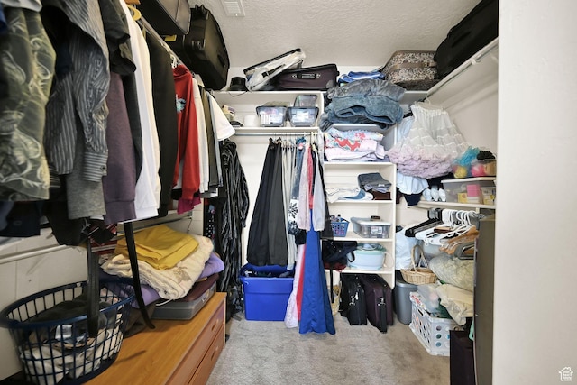 6007 W Jargon Way, Salt Lake City, UT 84118 - walk in closet with carpet flooring