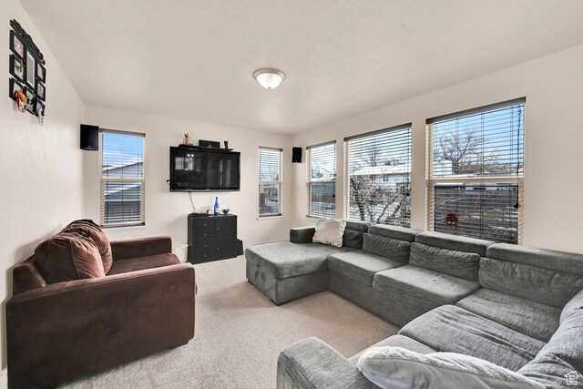 6007 W Jargon Way, Salt Lake City, UT 84118 - living area featuring carpet flooring and a healthy amount of sunlight