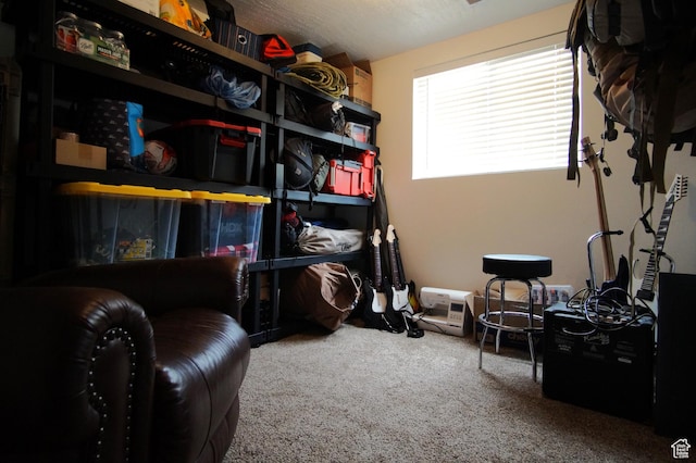 7598 S 2290 W, West Jordan, UT 84084 - view of storage area