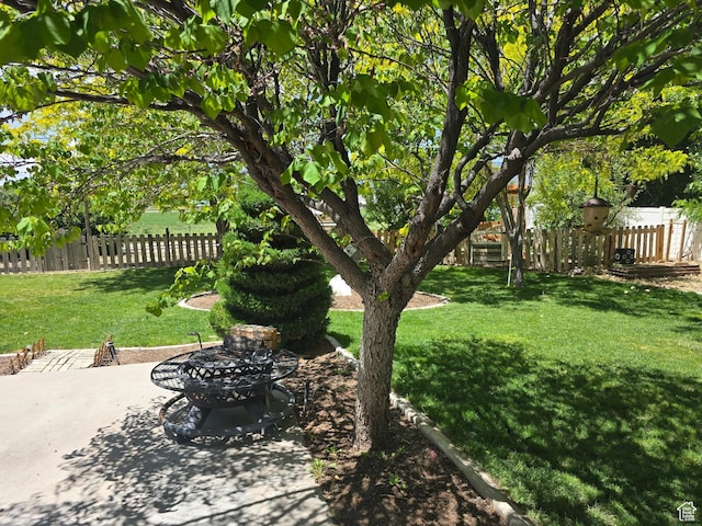 432 S 575 W, Monroe, UT 84754 - view of yard with a patio and an outdoor fire pit