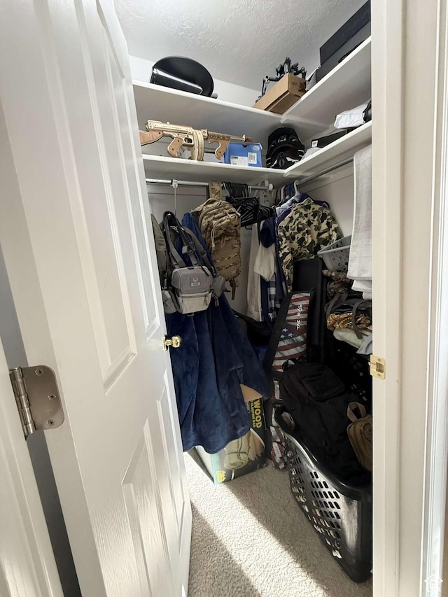 walk in closet with carpet