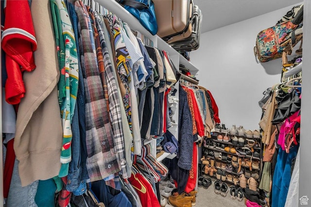 687 S Guy Ln Unit 1, Ivins, UT 84738 - walk in closet featuring carpet