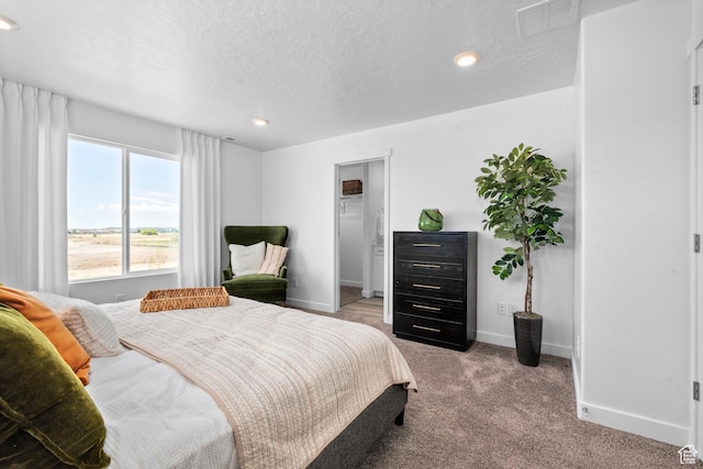 1596 S 3740 E Unit 1358, Spanish Fork, UT 84660 - carpeted bedroom with baseboards, recessed lighting, and a textured ceiling