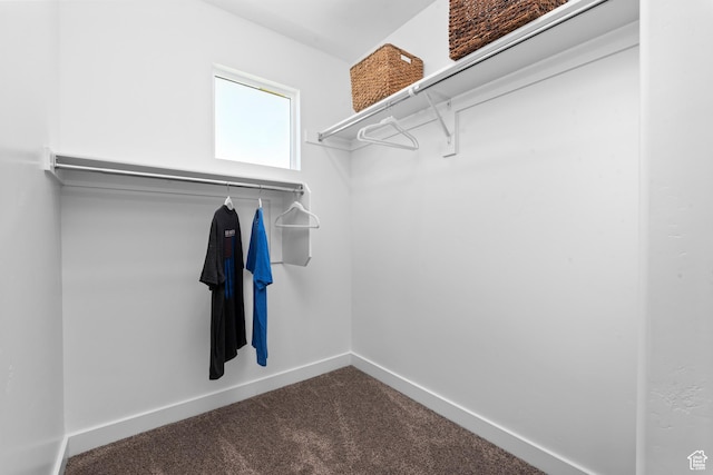 1596 S 3740 E Unit 1358, Spanish Fork, UT 84660 - walk in closet with dark colored carpet