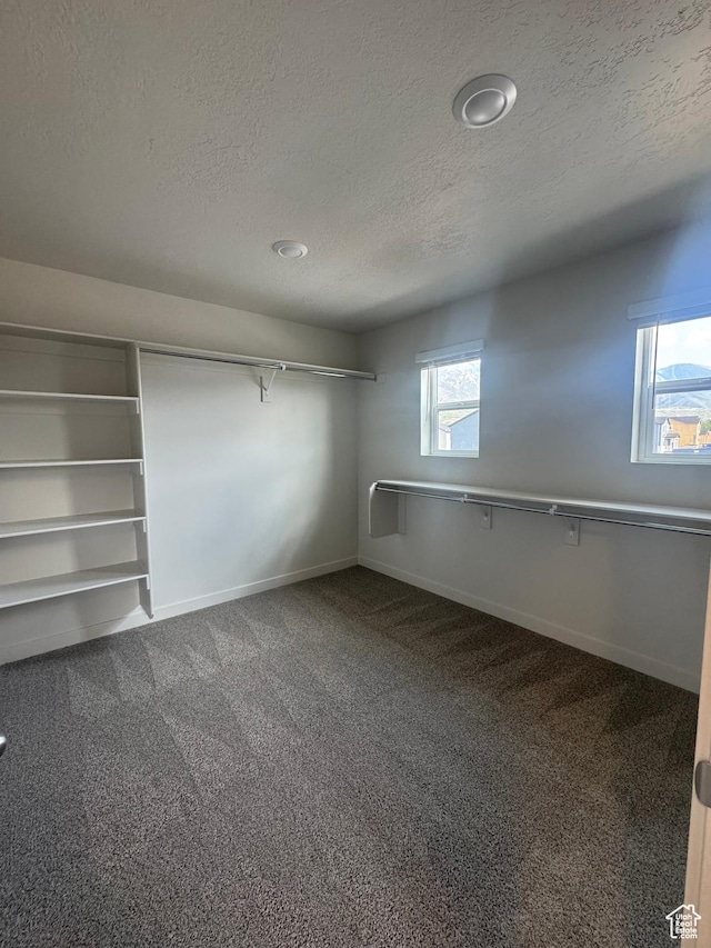 1355 N Harper Way Unit 249, Tooele, UT 84074 - spacious closet featuring dark colored carpet
