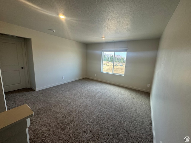 1355 N Harper Way Unit 249, Tooele, UT 84074 - unfurnished room with carpet flooring and a textured ceiling