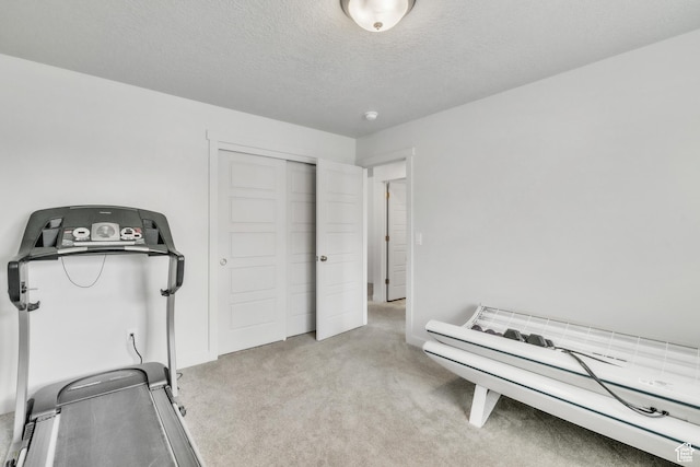 1710 S Prevedel Dr, West Haven, UT 84401 - workout room featuring carpet floors, baseboards, and a textured ceiling