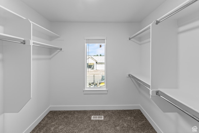 3175 S 204 W, Nibley, UT 84321 - walk in closet featuring carpet floors and visible vents