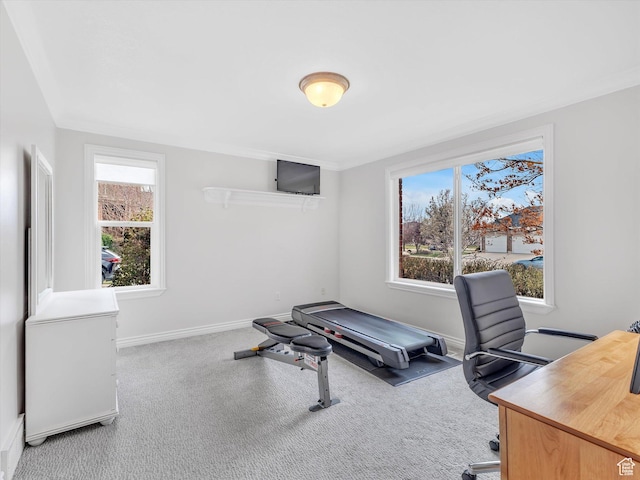 carpeted office space with plenty of natural light and baseboards