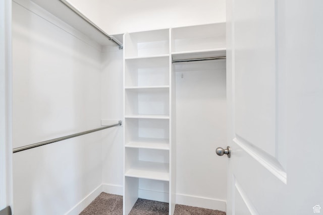 spacious closet featuring carpet flooring