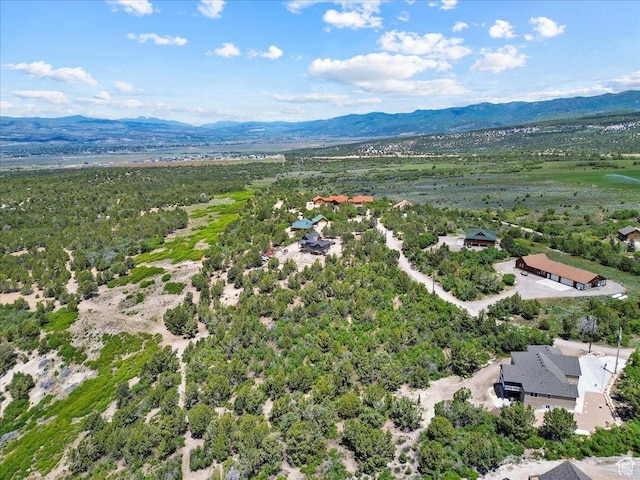 14440 N 11740 E, Mount Pleasant, UT 84647 - drone / aerial view of a mountainous background