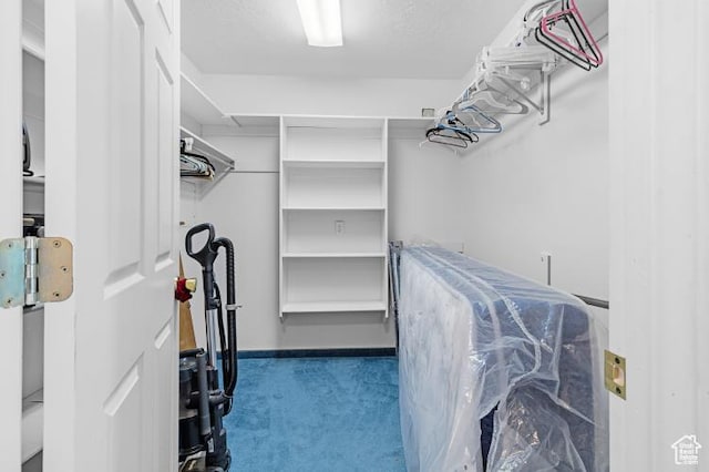 spacious closet with carpet flooring