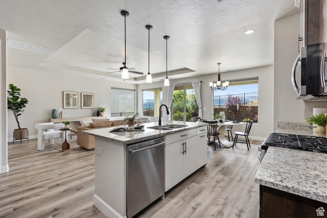 1867 W Grapevine, Hurricane, UT 84737 - kitchen with appliances with stainless steel finishes, a sink, a raised ceiling, ceiling fan, and light wood finished floors
