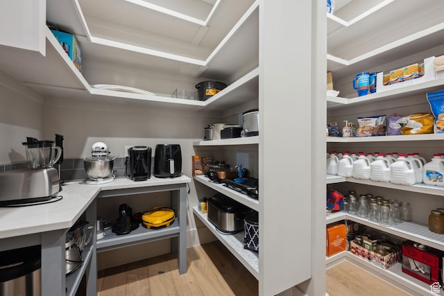 view of pantry