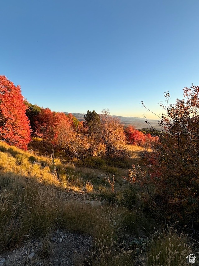 23141 N 13835 E Unit 83, Fairview, UT 84629