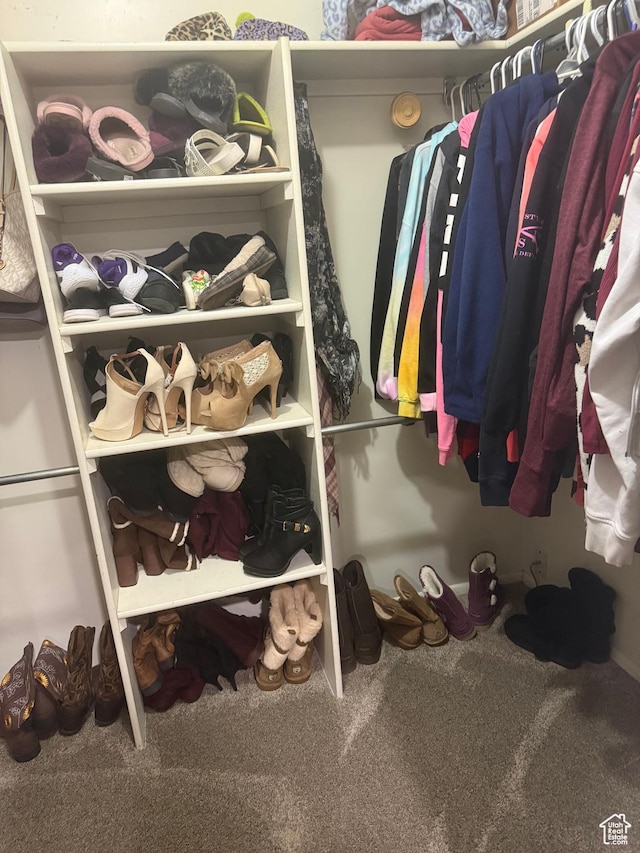 120 E Deseret Cir, Grantsville, UT 84029 - walk in closet with carpet floors
