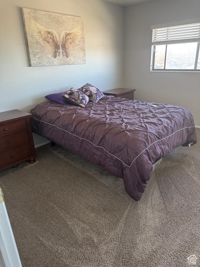120 E Deseret Cir, Grantsville, UT 84029 - view of carpeted bedroom