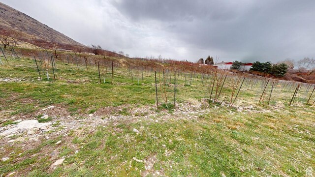 1540 E 50 S, Pleasant Grove, UT 84062