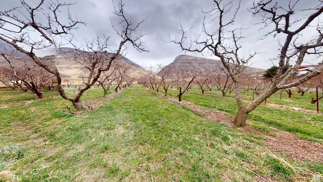 1540 E 50 S, Pleasant Grove, UT 84062