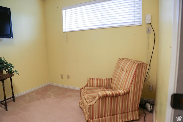 sitting room with baseboards and carpet floors