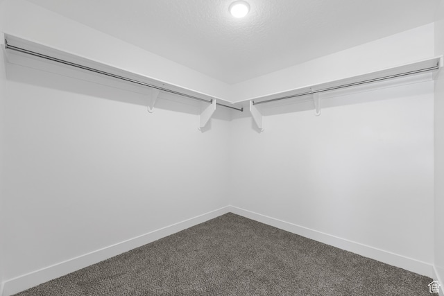 1651 E 900 N Unit 16, Spanish Fork, UT 84660 - walk in closet featuring dark carpet