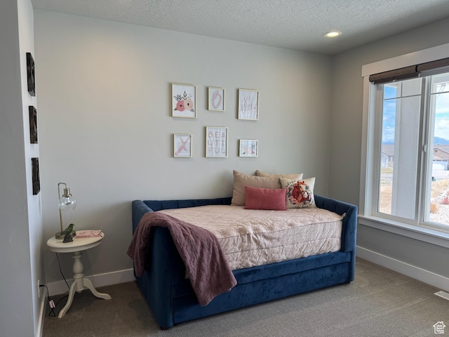 142 S 3500 W, Maeser, UT 84078 - carpeted bedroom with baseboards, visible vents, recessed lighting, and a textured ceiling