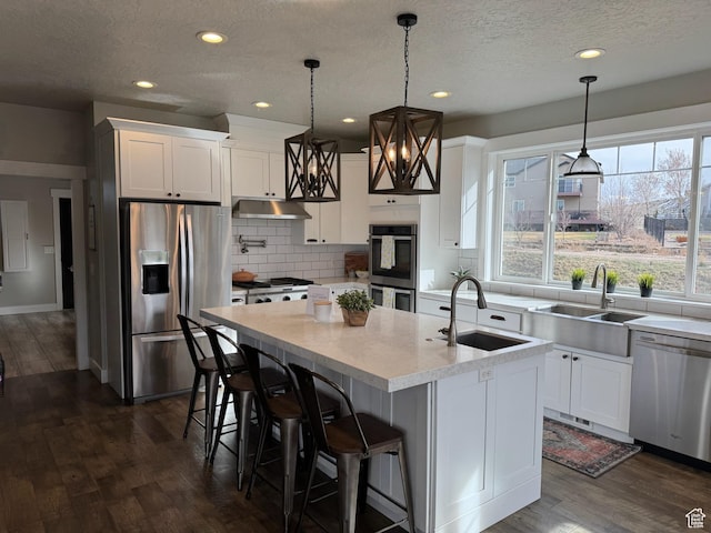 142 S 3500 W, Maeser, UT 84078 - kitchen featuring dark wood-type flooring, under cabinet range hood, a sink, and stainless steel appliances