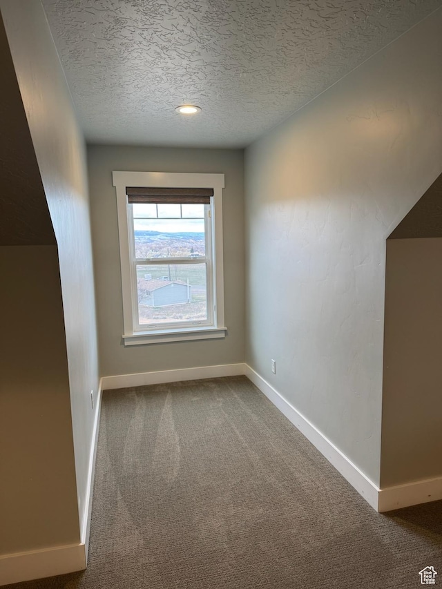 142 S 3500 W, Maeser, UT 84078 - additional living space with baseboards, carpet floors, and a textured ceiling