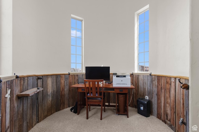 2599 S Foxridge Rd, Garden City, UT 84028 - home office featuring a wainscoted wall, wood walls, and carpet floors