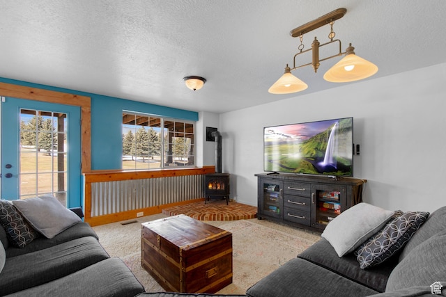 2599 S Foxridge Rd, Garden City, UT 84028 - living room with baseboards, a textured ceiling, and a wood stove